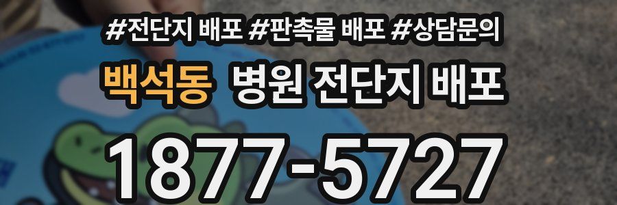 백석동 병원 전단지 배포