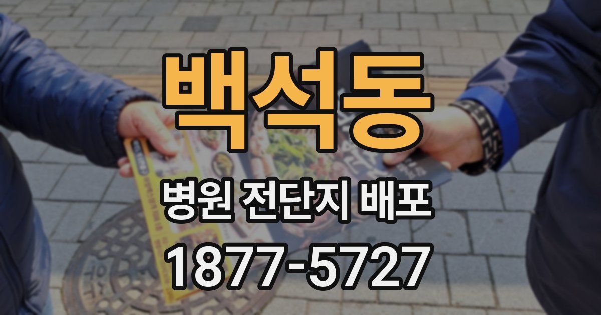 백석동 병원 전단지 배포