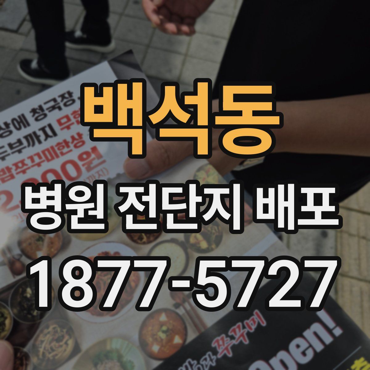 백석동 병원 전단지 배포