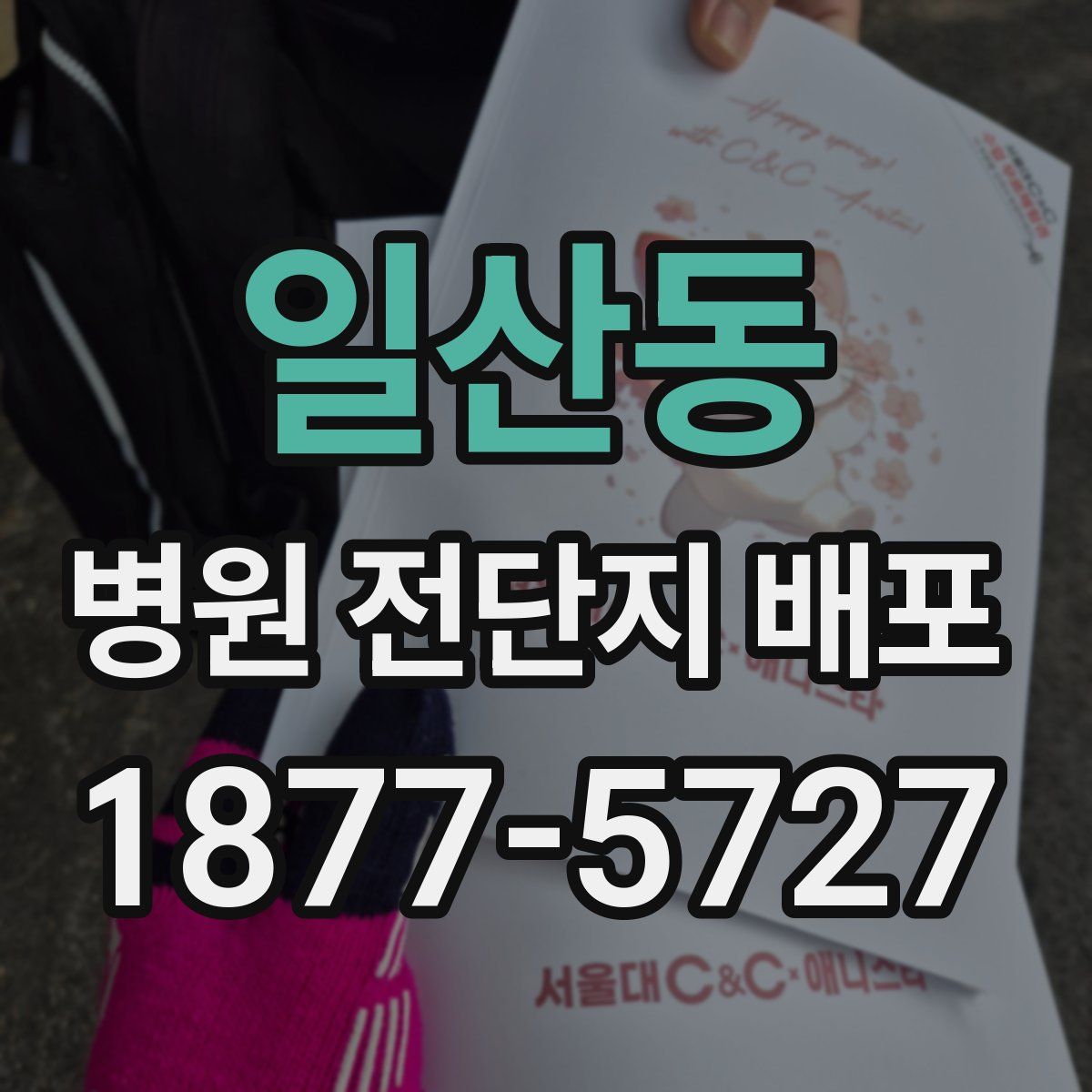 일산동 병원 전단지 배포