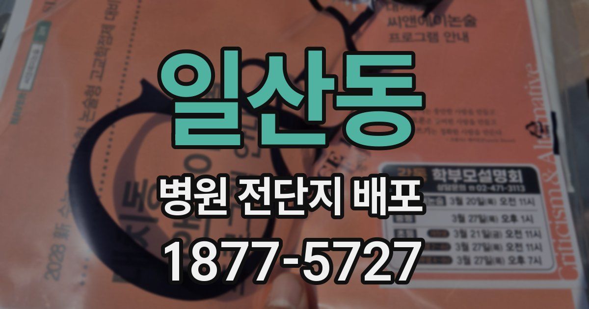 일산동 병원 전단지 배포