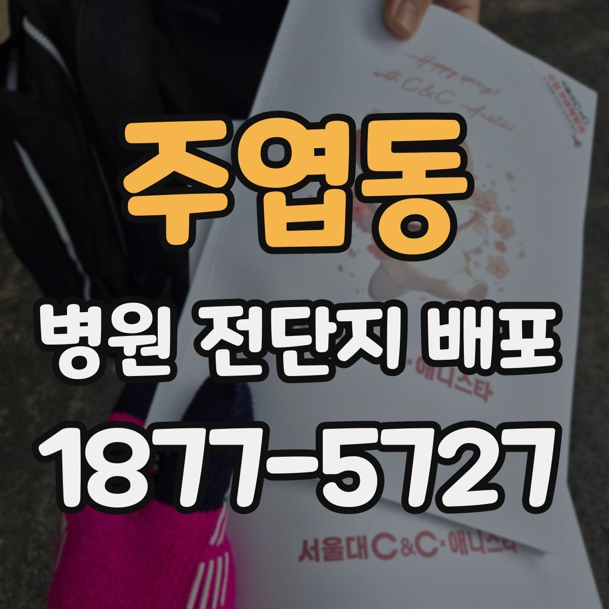 주엽동 병원 전단지 배포