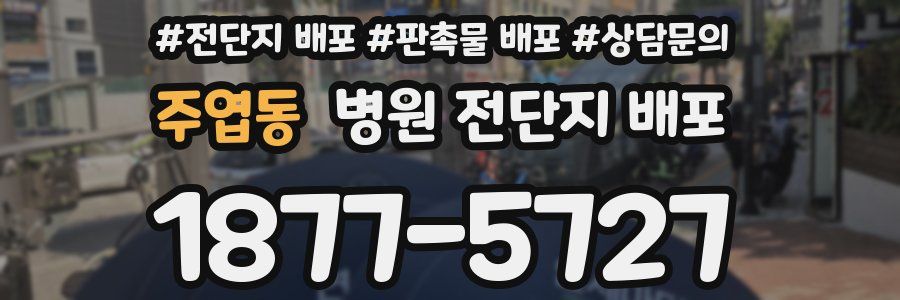 주엽동 병원 전단지 배포