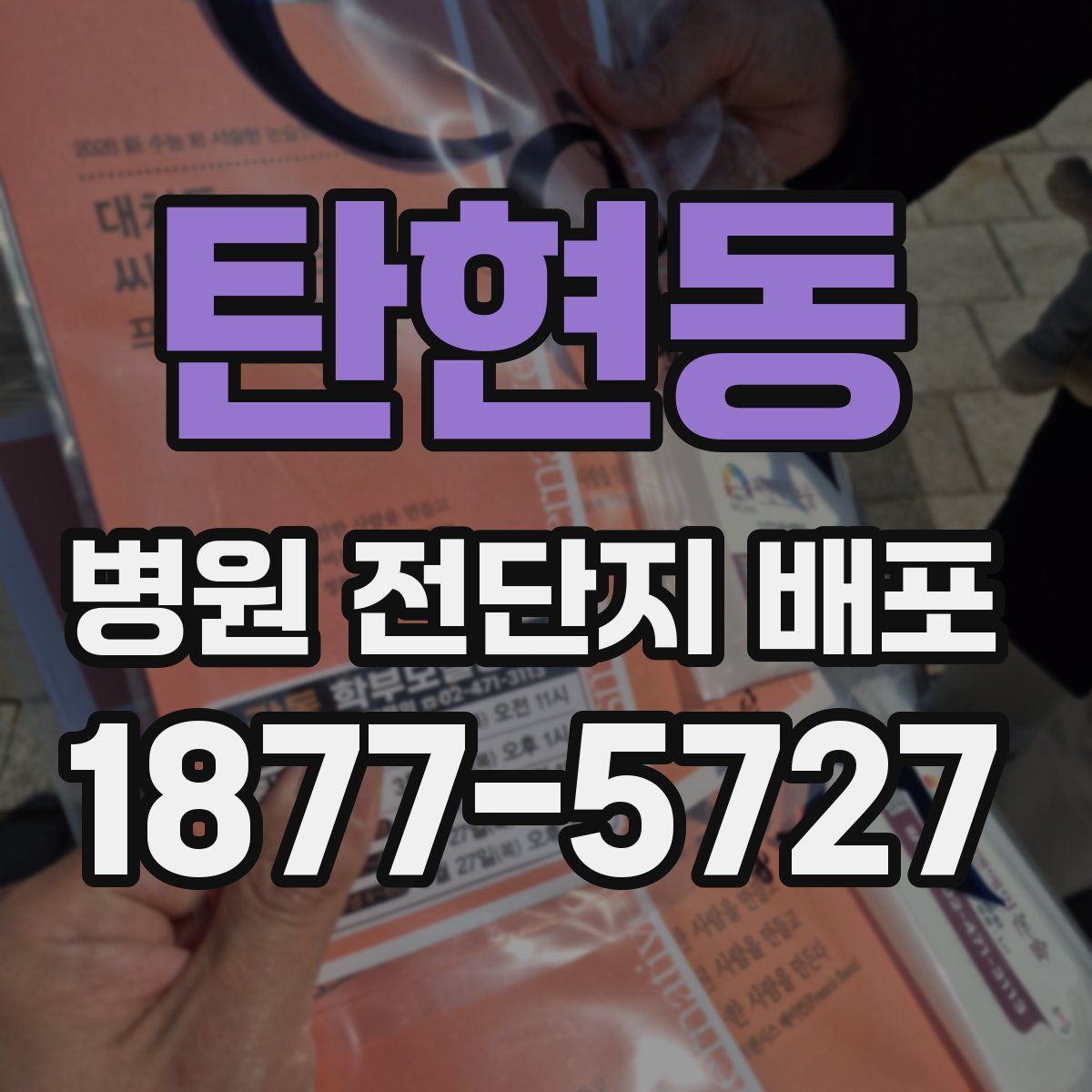 탄현동 병원 전단지 배포