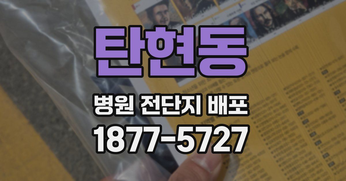 탄현동 병원 전단지 배포