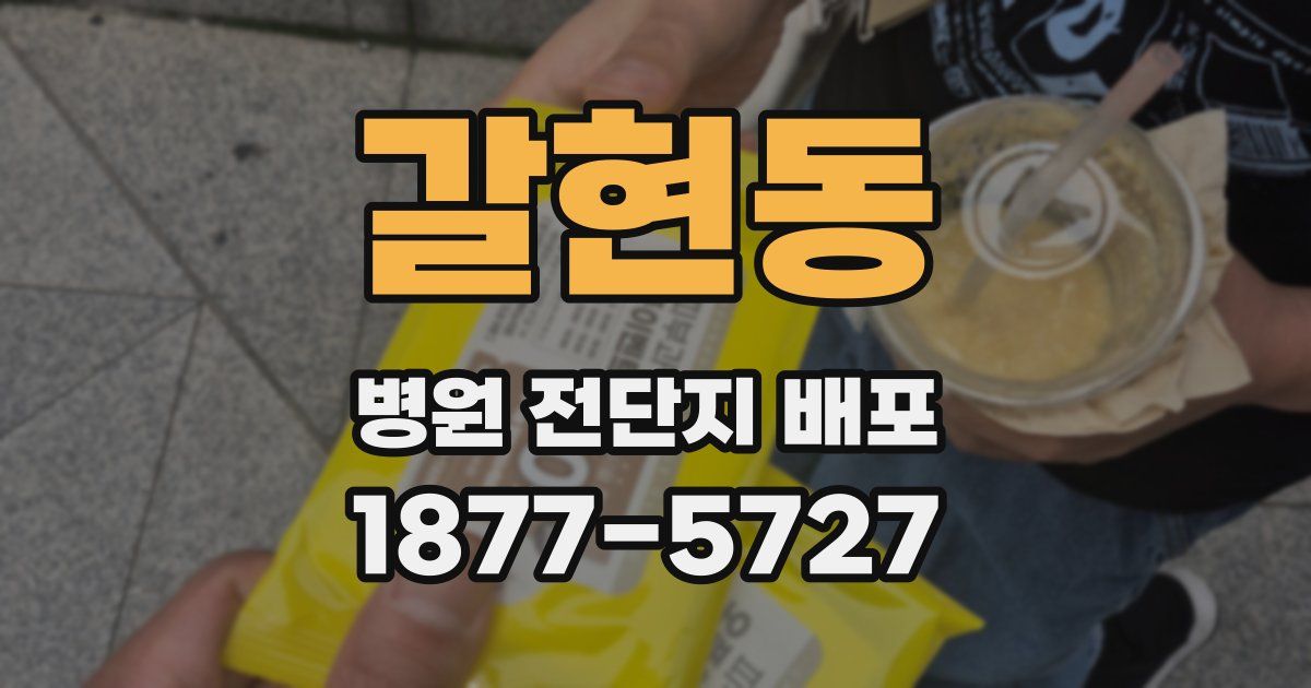 갈현동 병원 전단지 배포