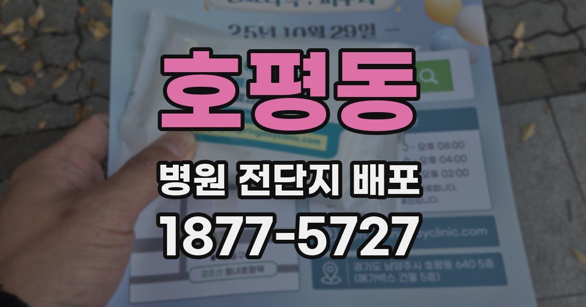 호평동 병원 전단지 배포