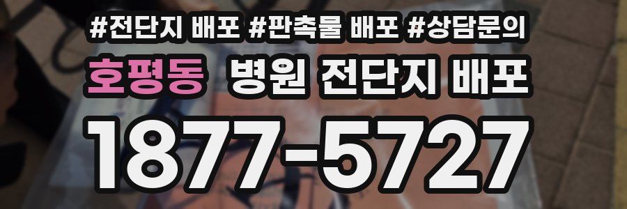 호평동 병원 전단지 배포