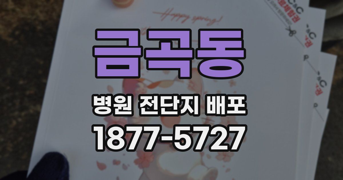 금곡동 병원 전단지 배포