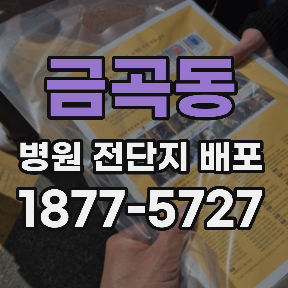 금곡동 병원 전단지 배포