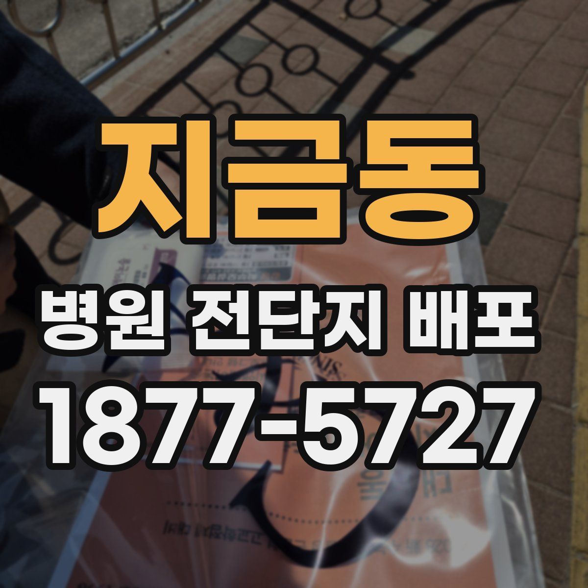 지금동 병원 전단지 배포