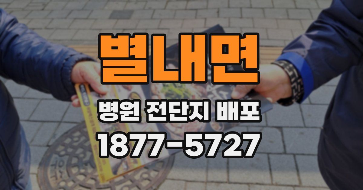 별내면 병원 전단지 배포