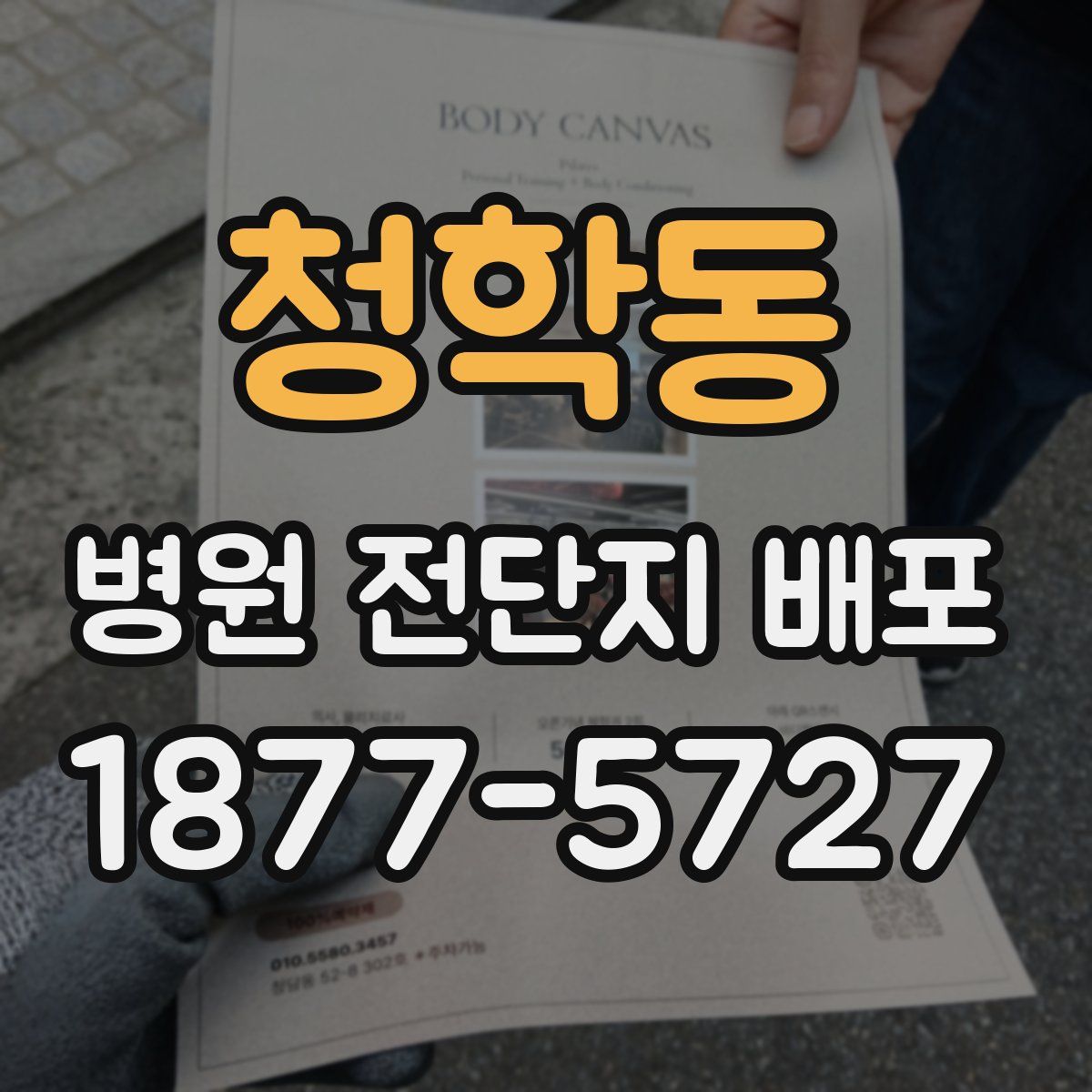 청학동 병원 전단지 배포