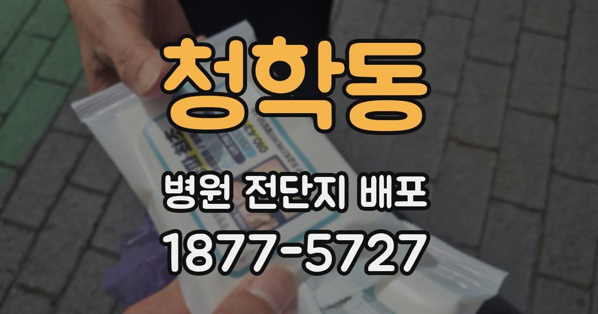청학동 병원 전단지 배포