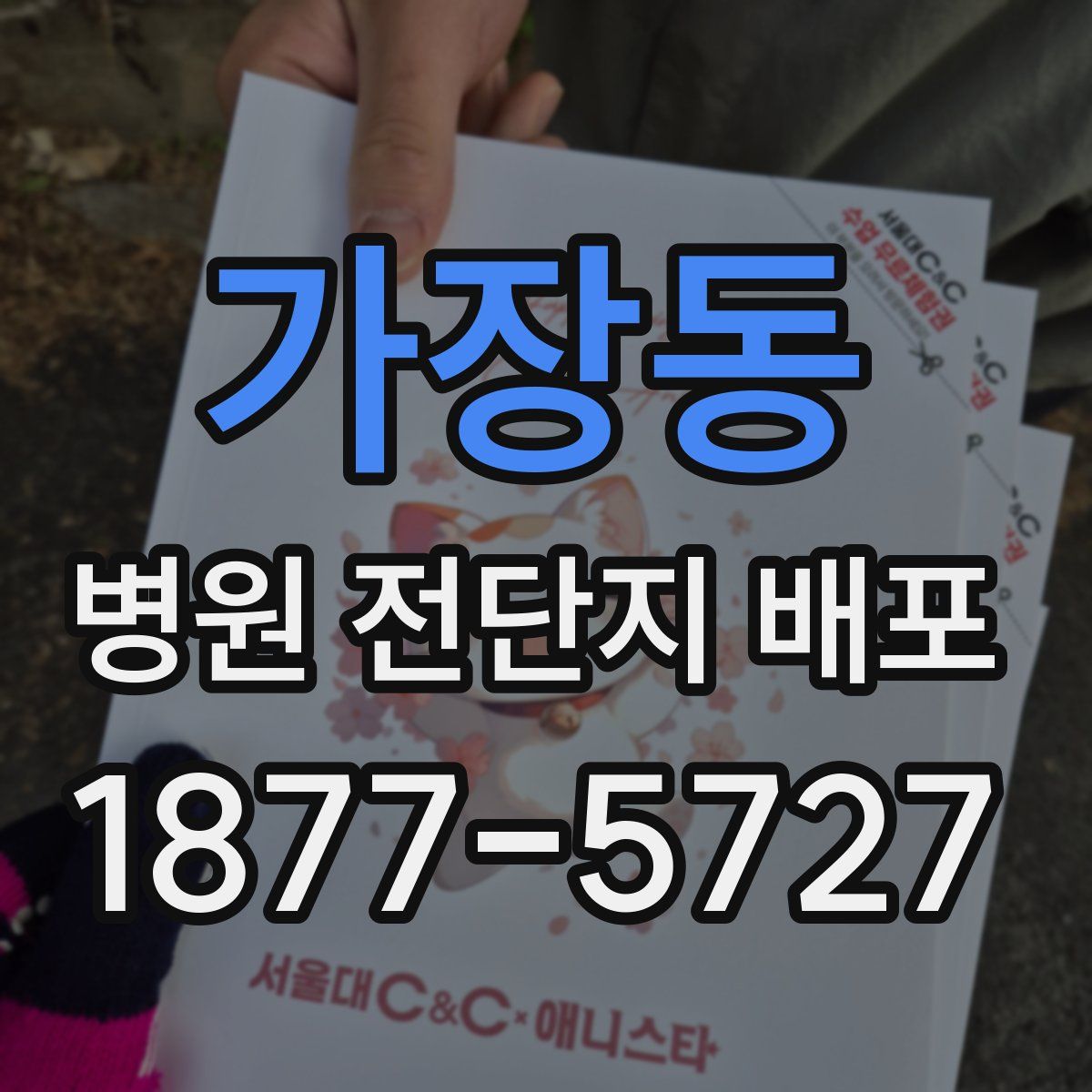 가장동 병원 전단지 배포