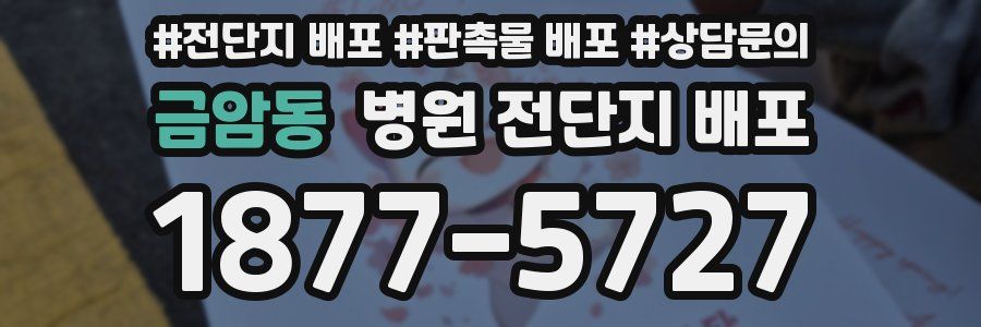 금암동 병원 전단지 배포