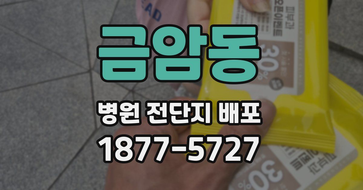 금암동 병원 전단지 배포
