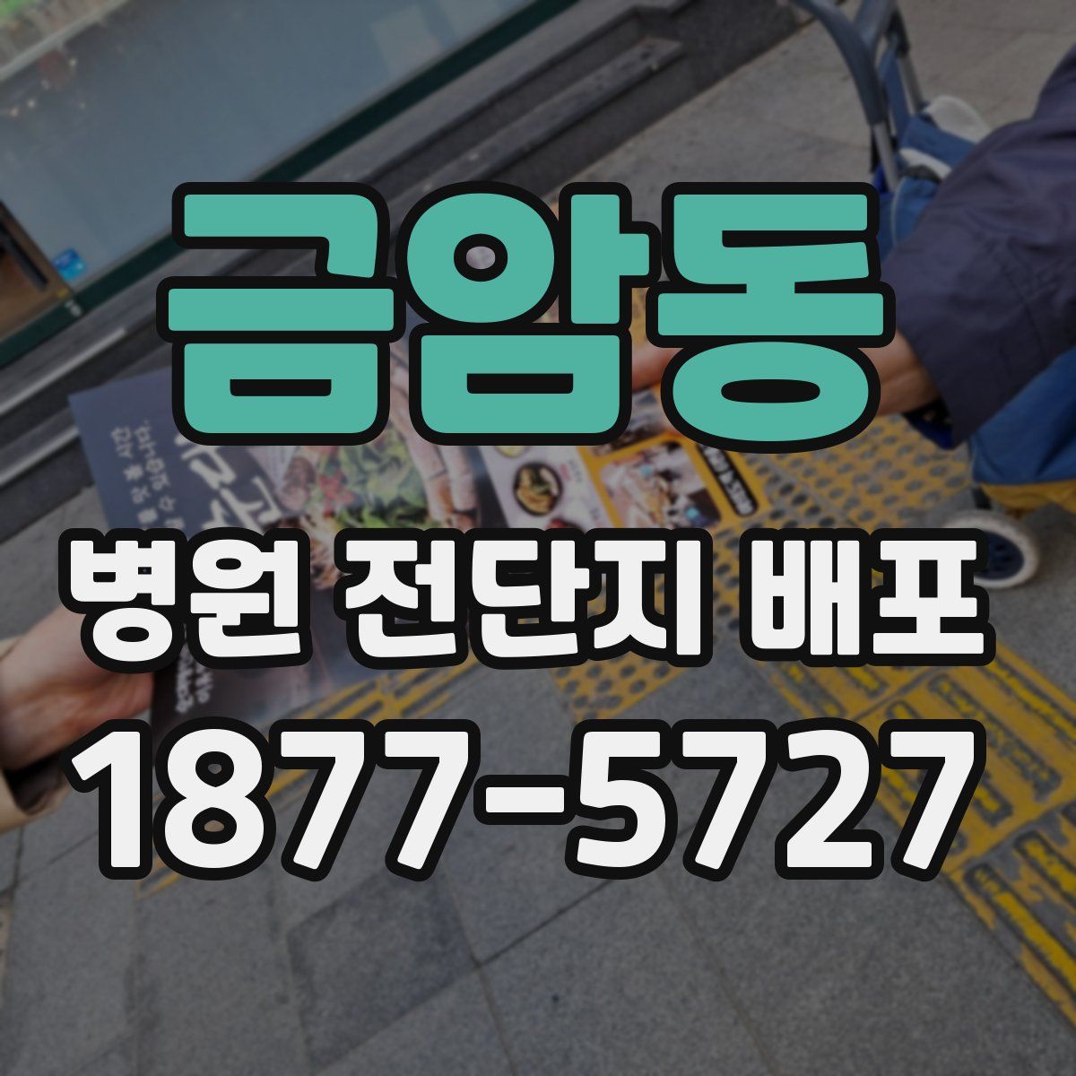 금암동 병원 전단지 배포