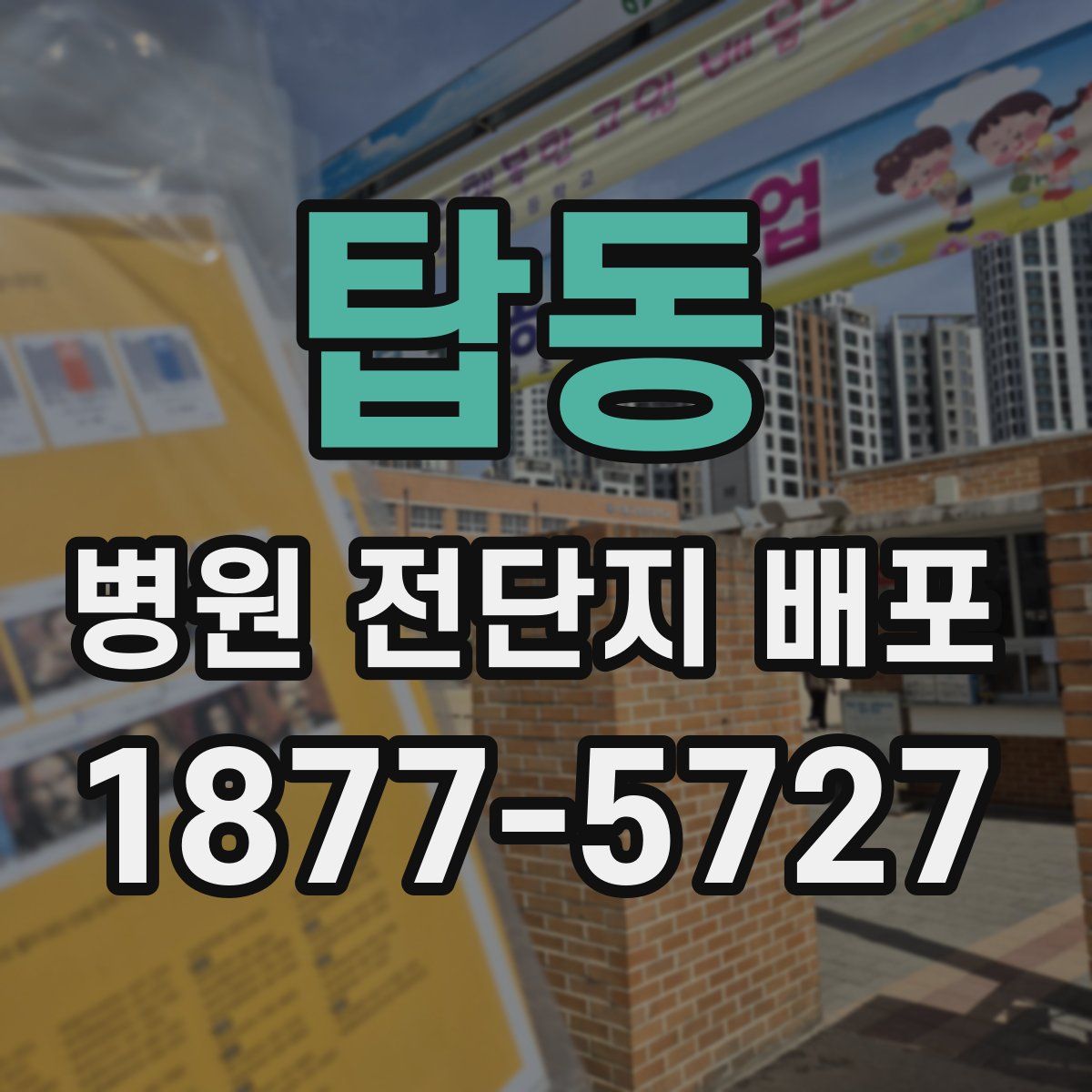 탑동 병원 전단지 배포