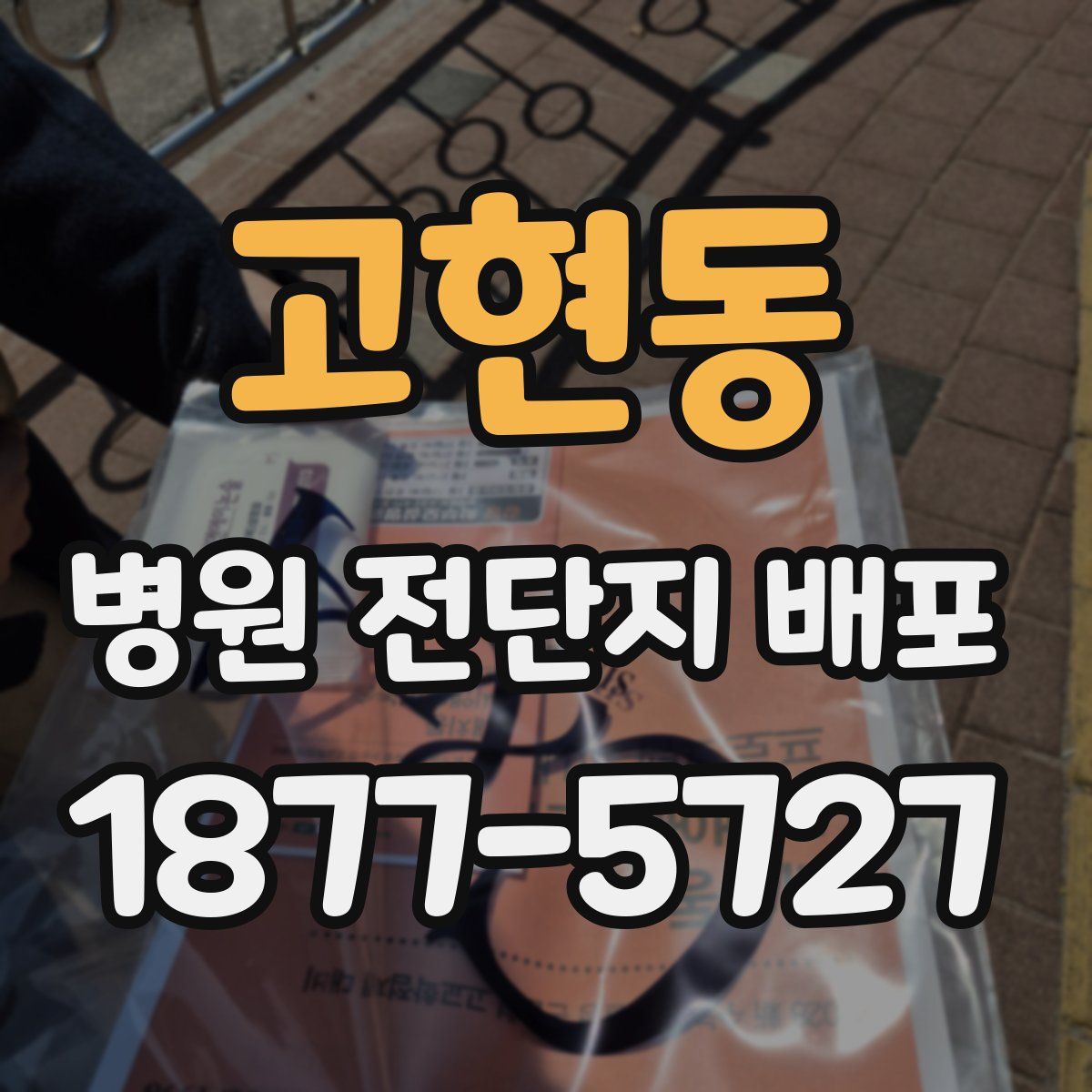 고현동 병원 전단지 배포