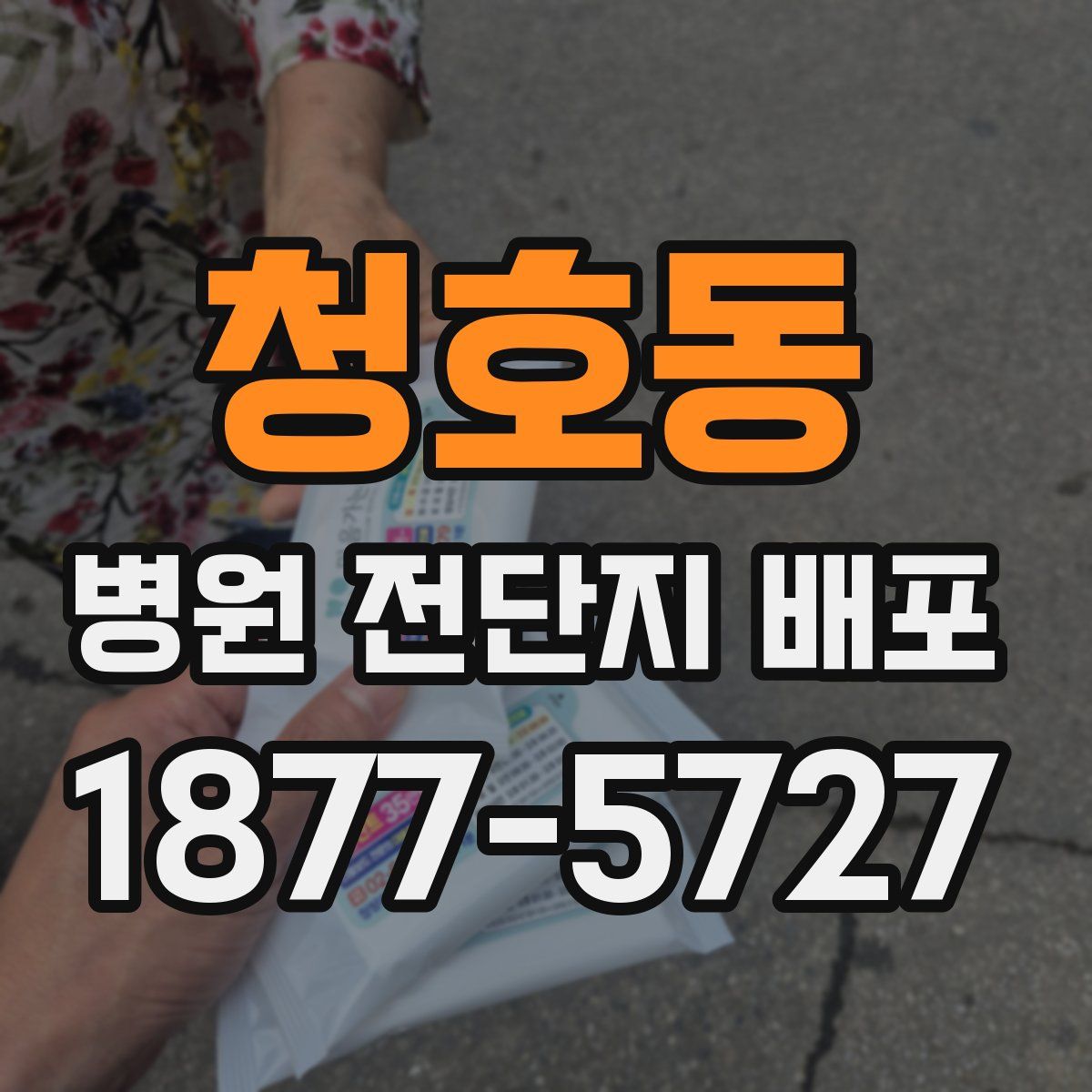 청호동 병원 전단지 배포