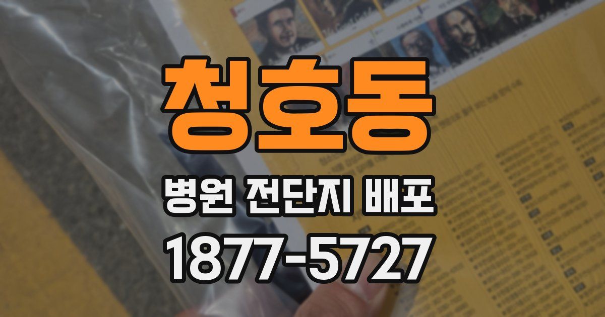 청호동 병원 전단지 배포