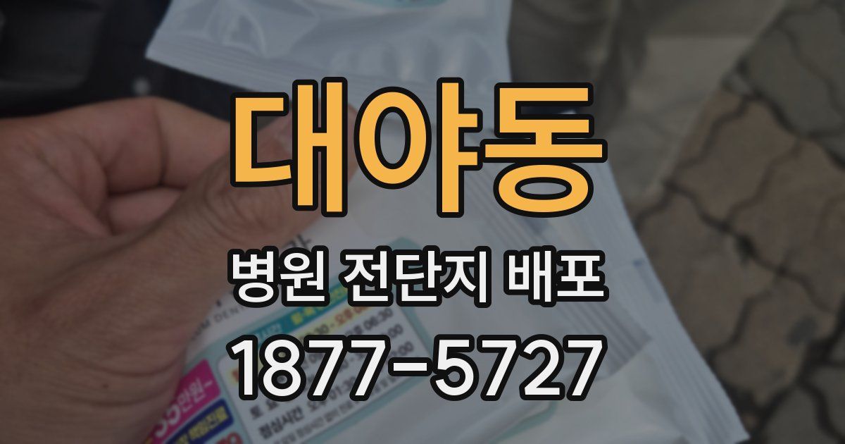 대야동 병원 전단지 배포
