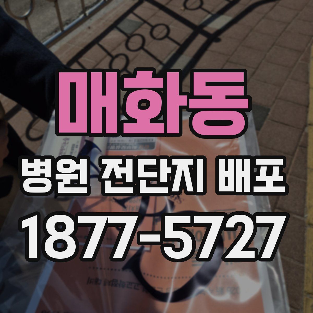 매화동 병원 전단지 배포