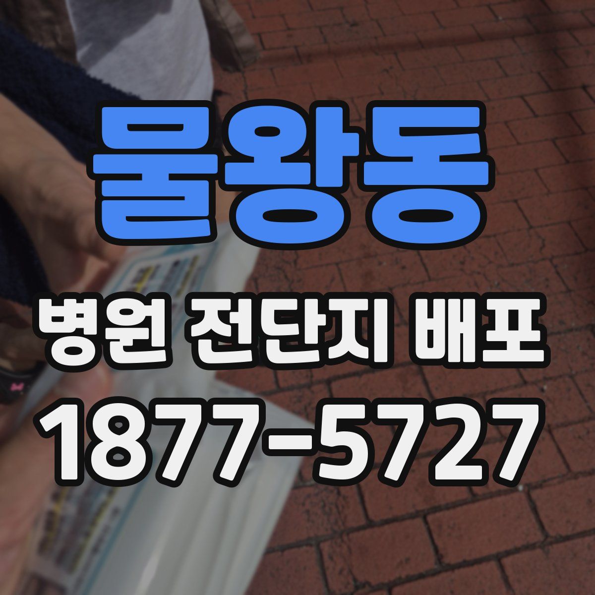 물왕동 병원 전단지 배포