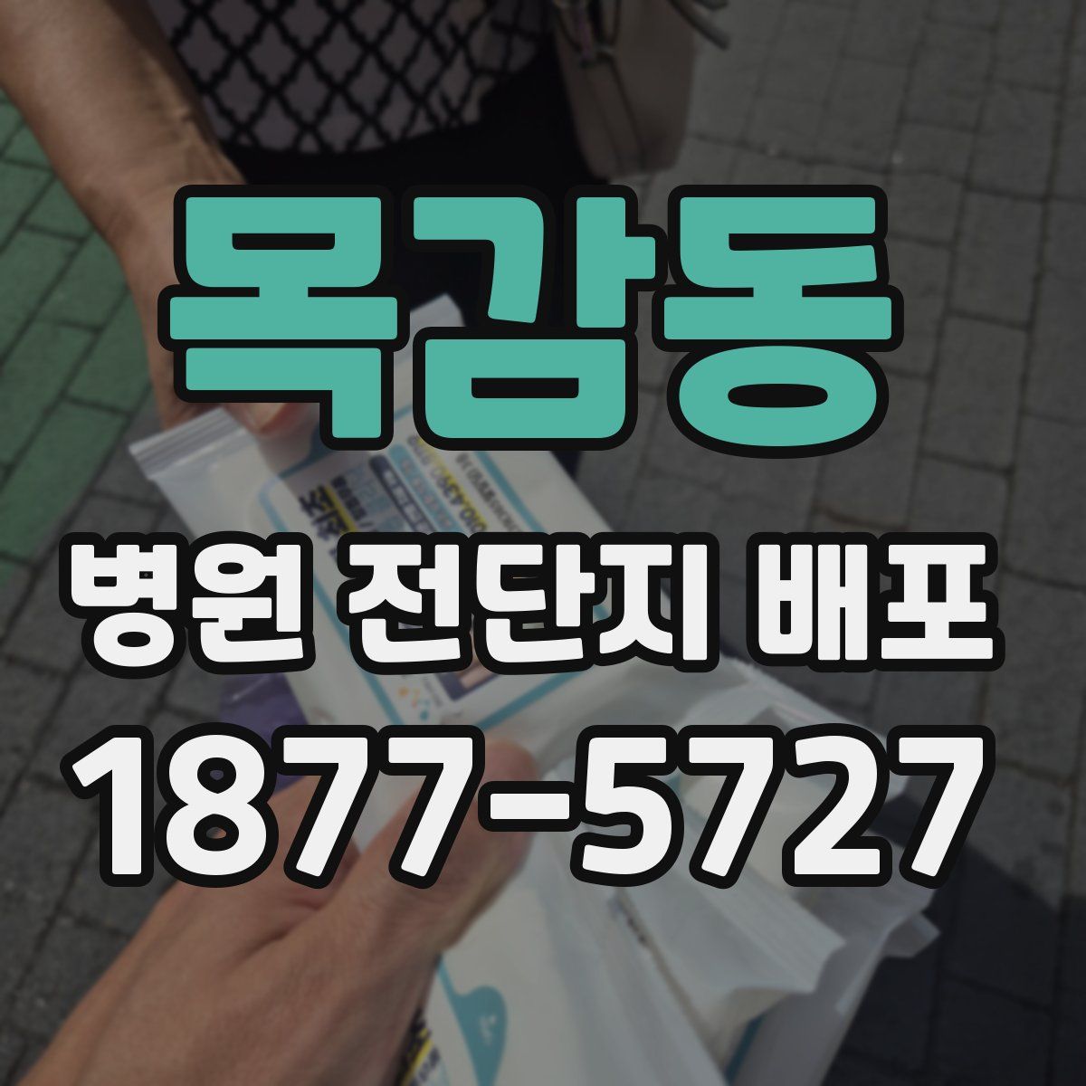 목감동 병원 전단지 배포