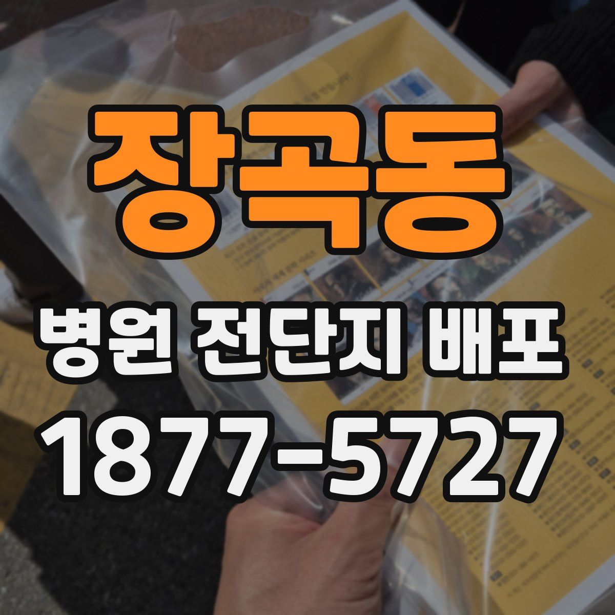 장곡동 병원 전단지 배포