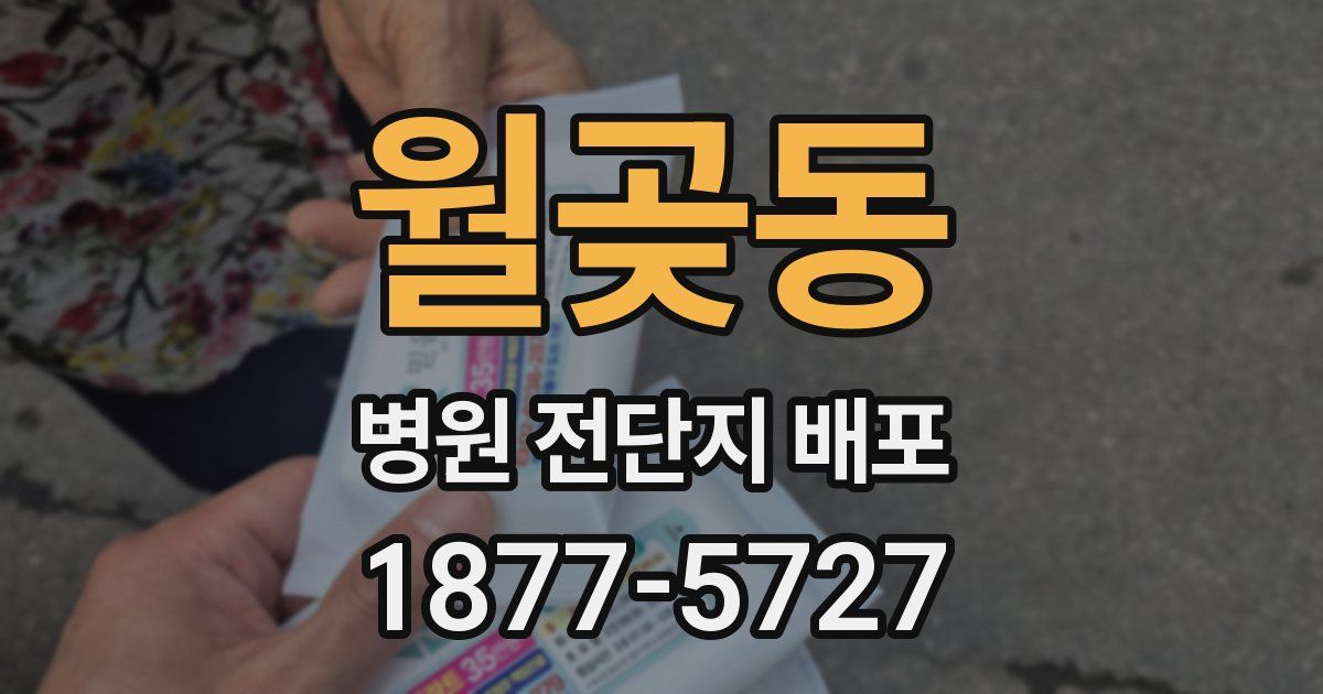 월곶동 병원 전단지 배포