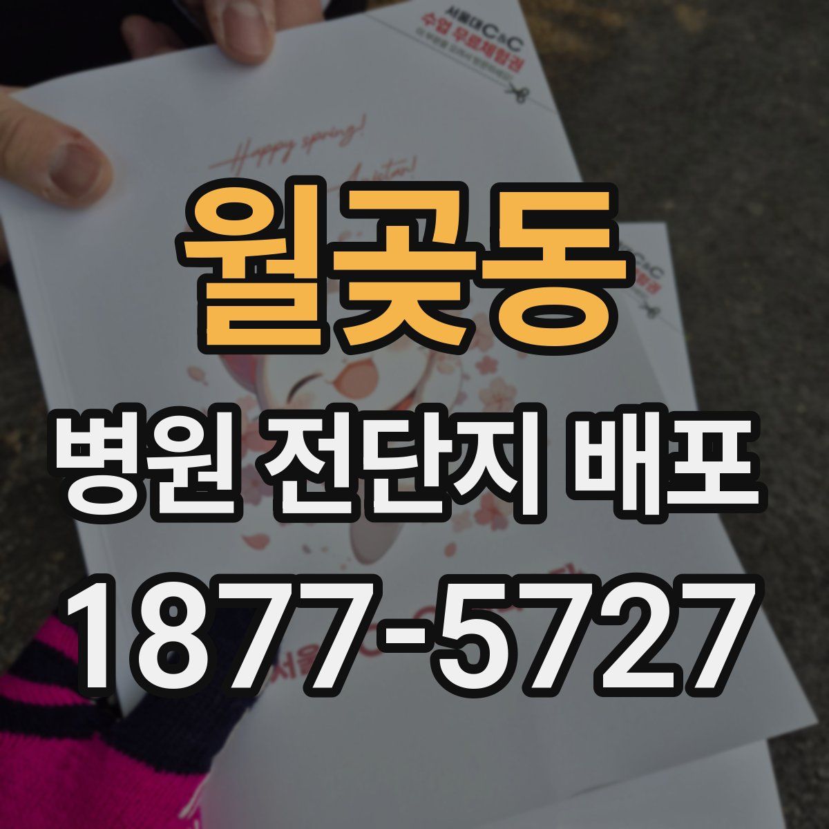 월곶동 병원 전단지 배포