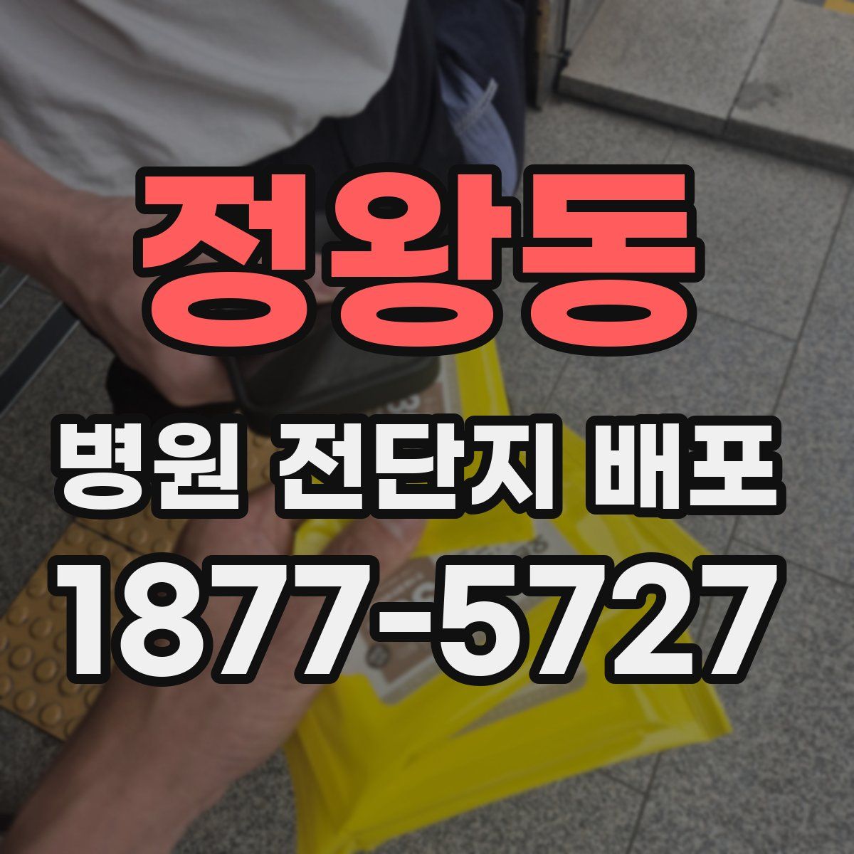 정왕동 병원 전단지 배포