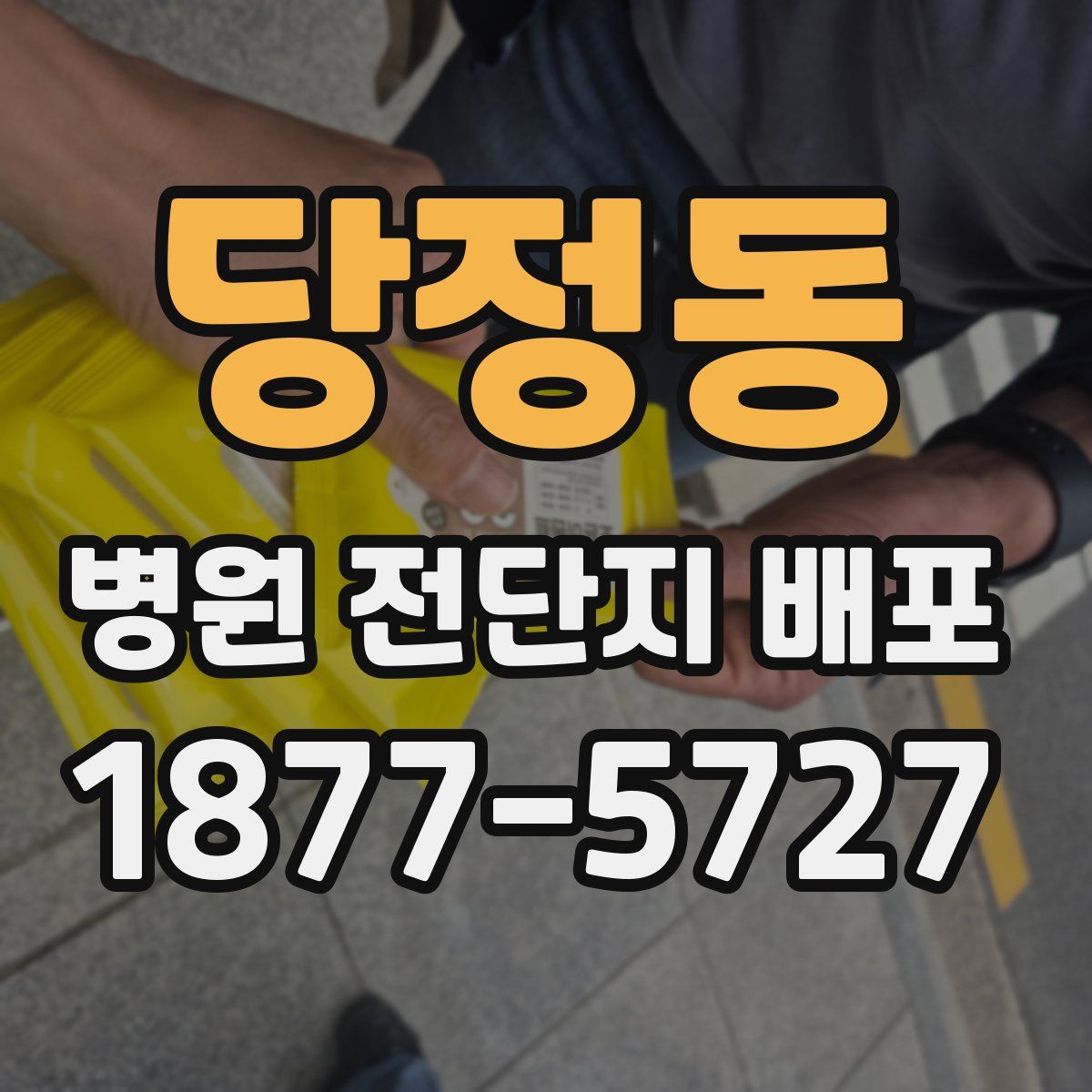 당정동 병원 전단지 배포