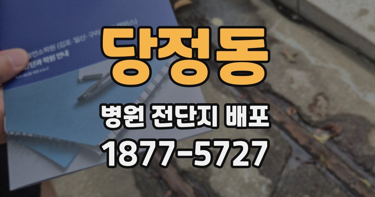 당정동 병원 전단지 배포