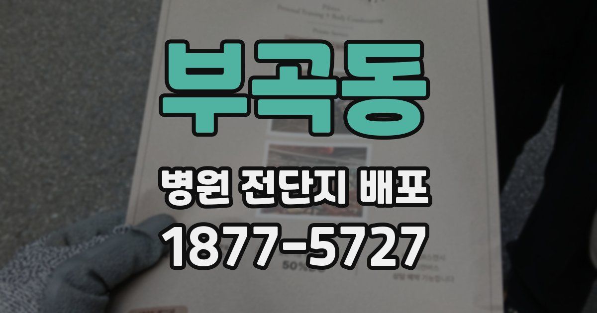 부곡동 병원 전단지 배포