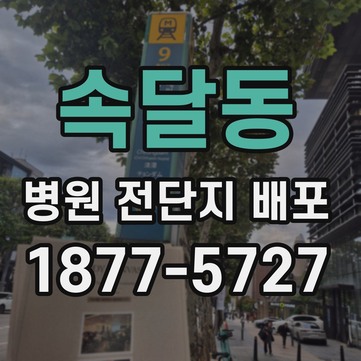 속달동 병원 전단지 배포