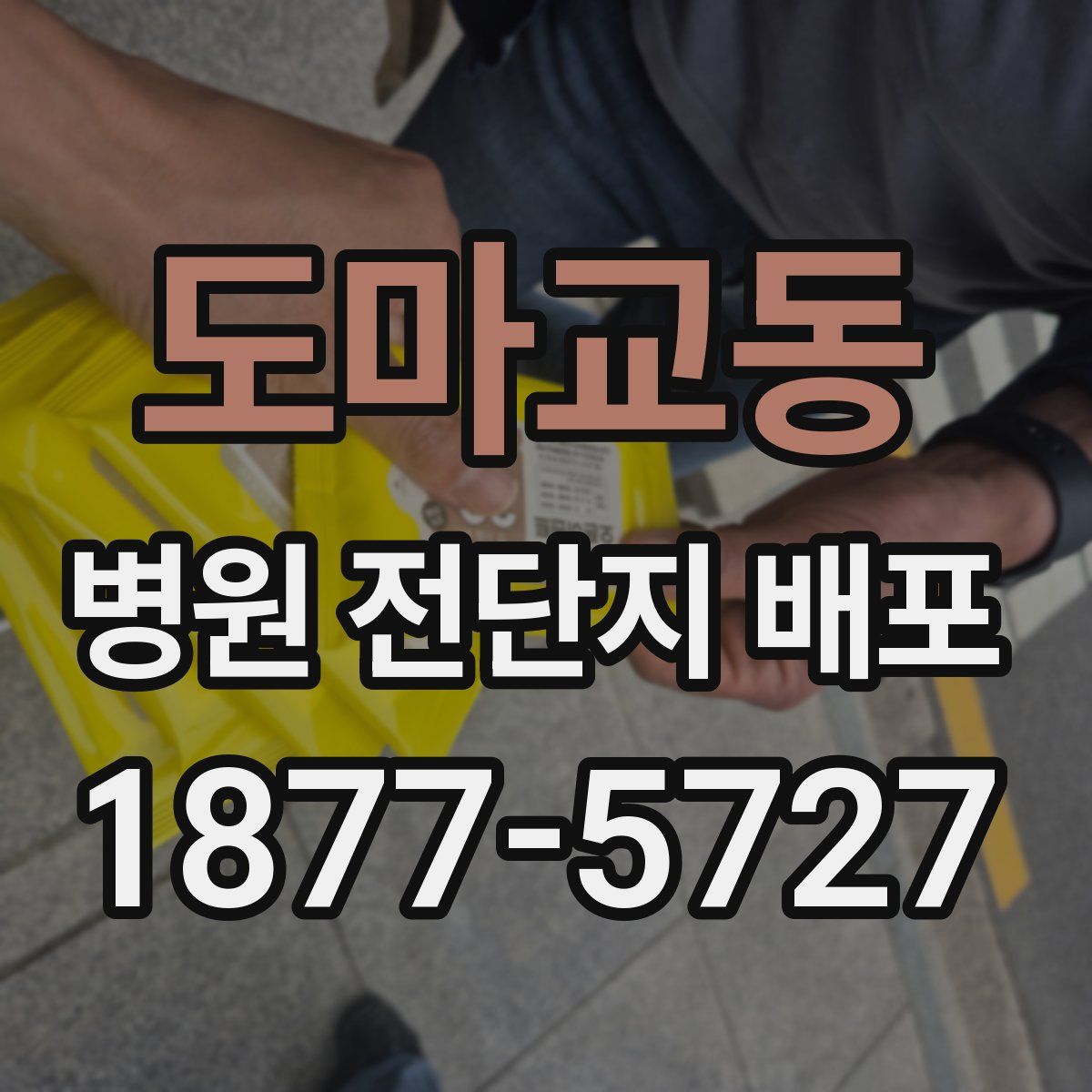 도마교동 병원 전단지 배포