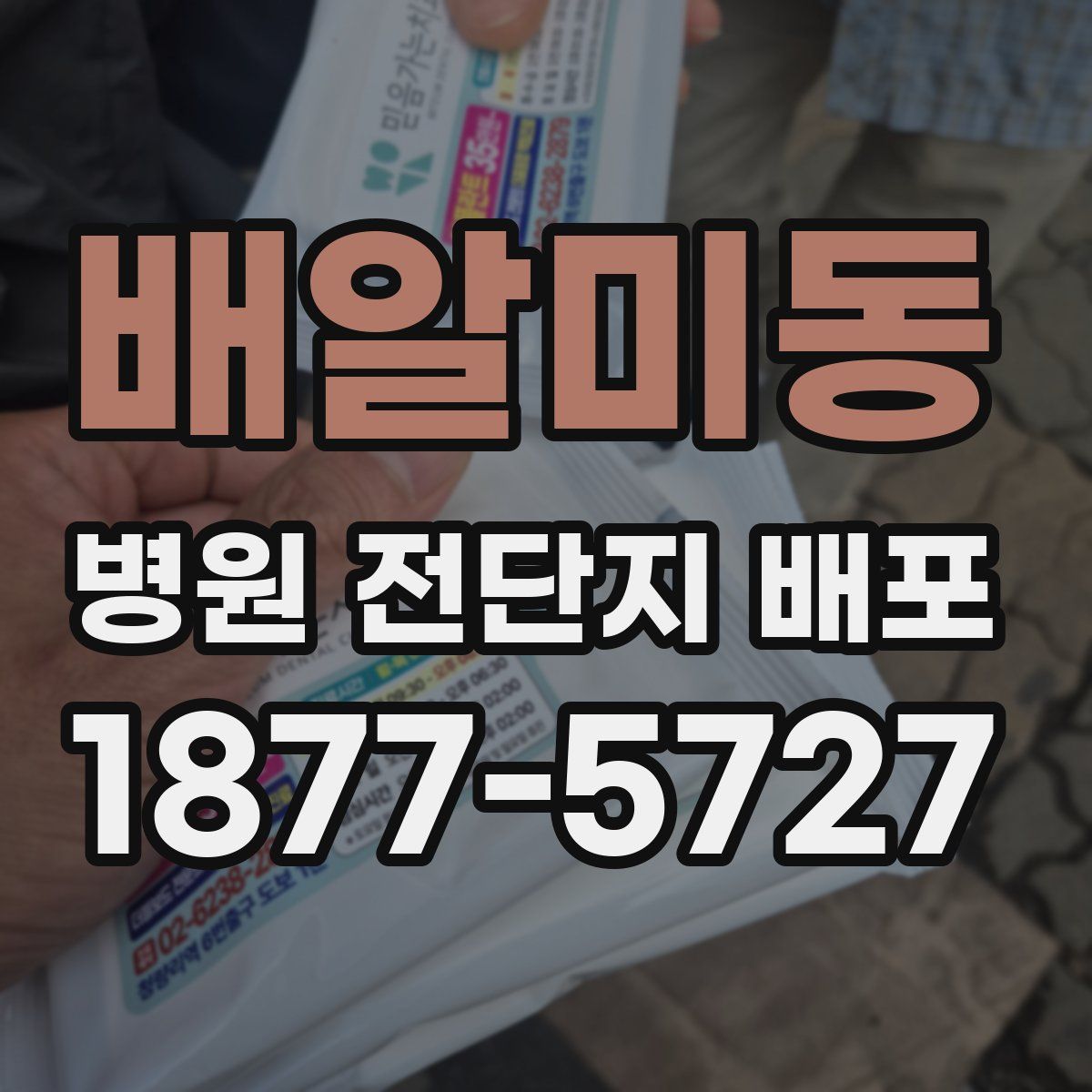 배알미동 병원 전단지 배포