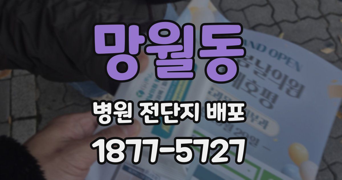 망월동 병원 전단지 배포