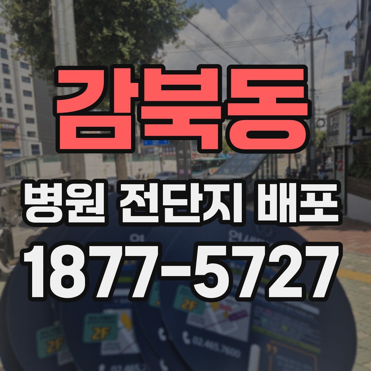 감북동 병원 전단지 배포