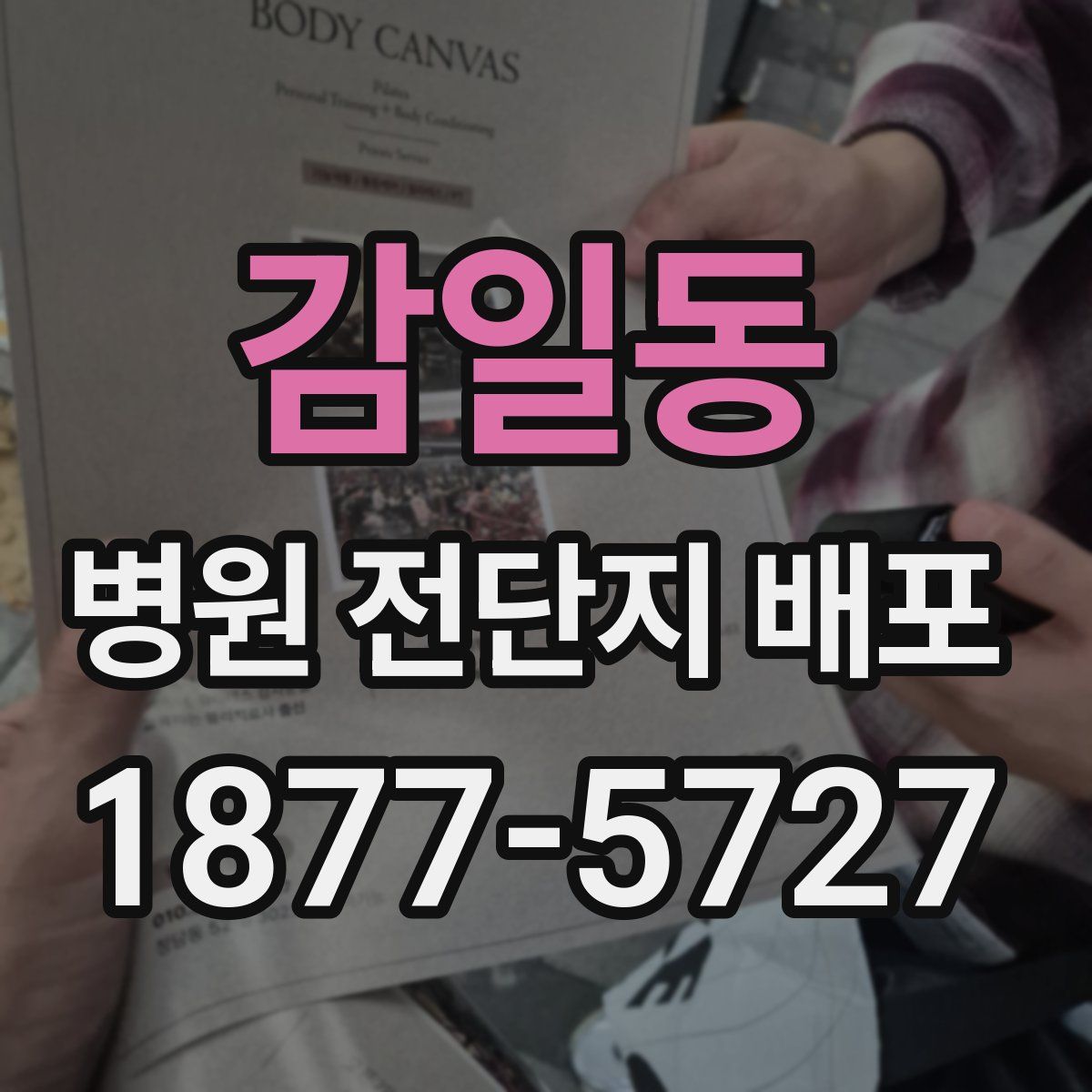 감일동 병원 전단지 배포