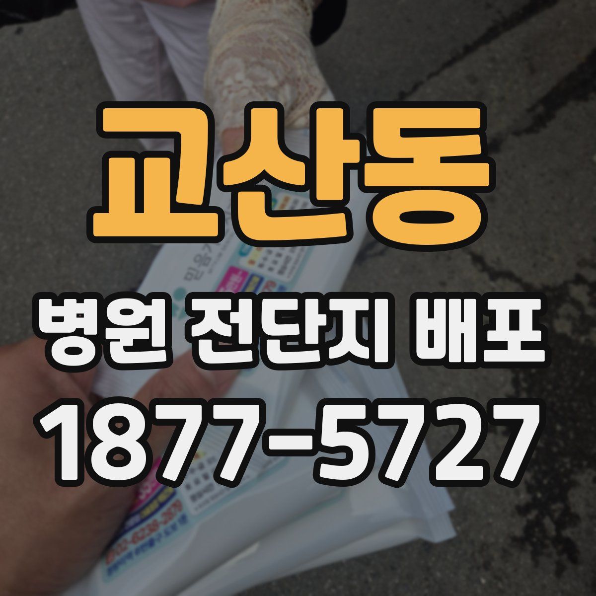 교산동 병원 전단지 배포