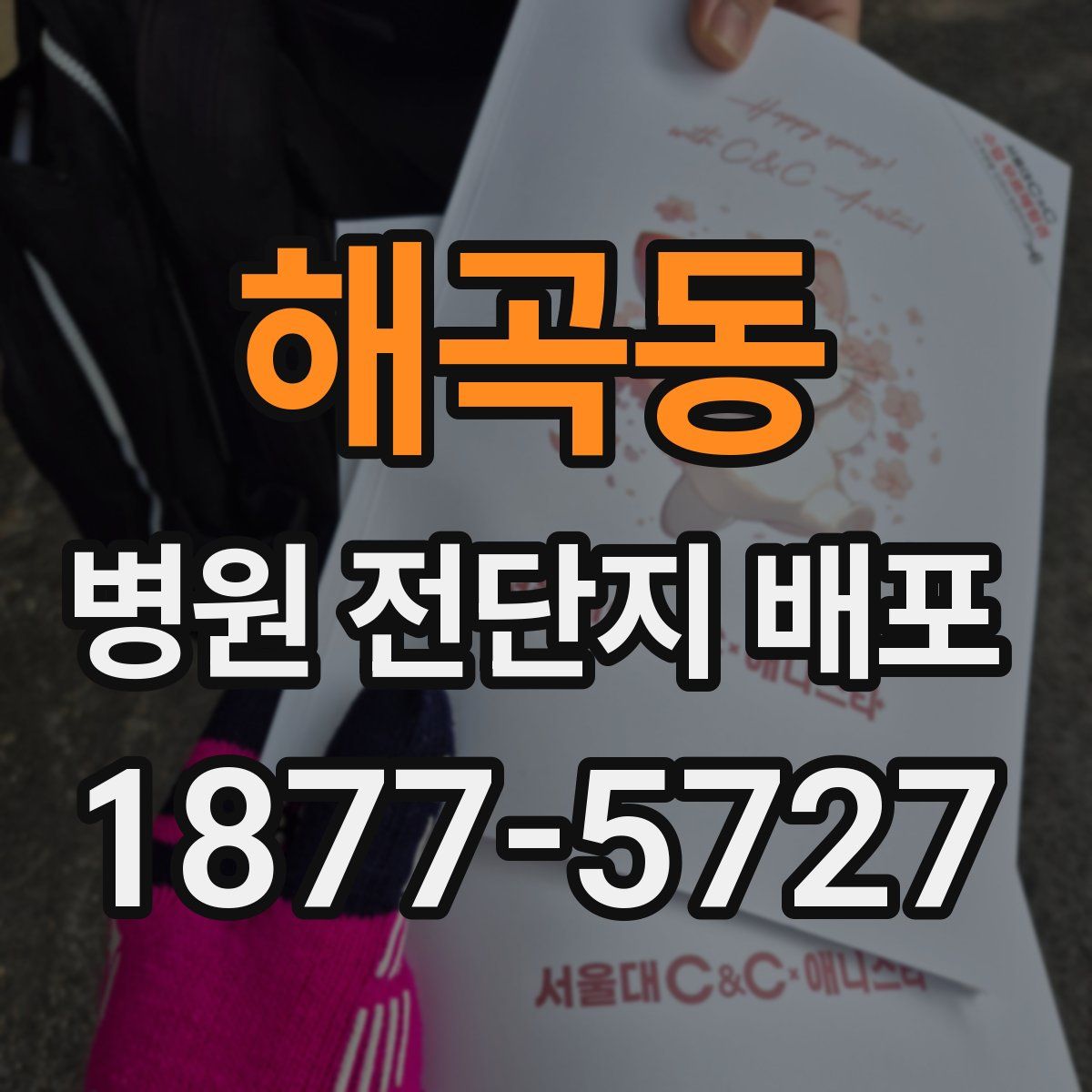 해곡동 병원 전단지 배포