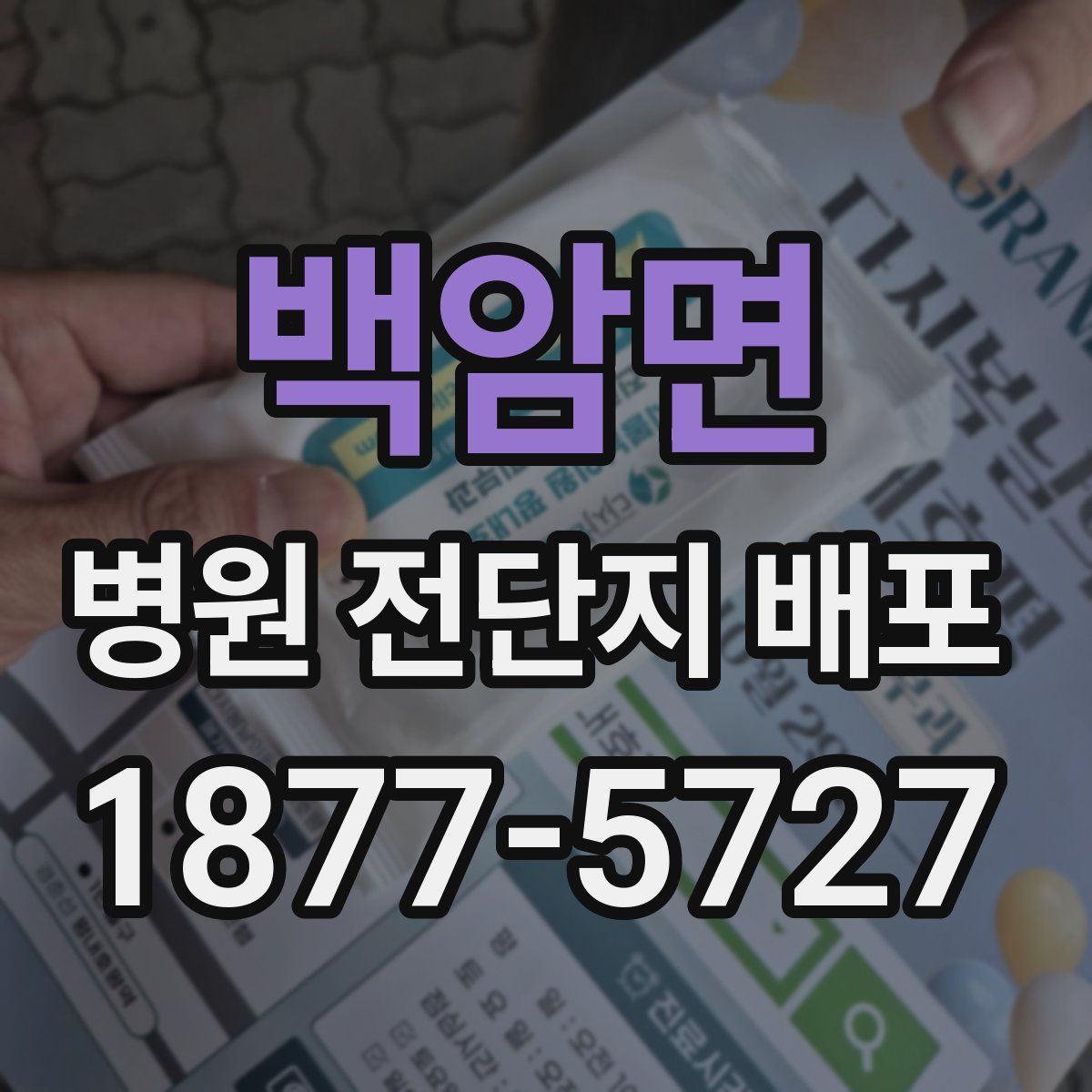 백암면 병원 전단지 배포