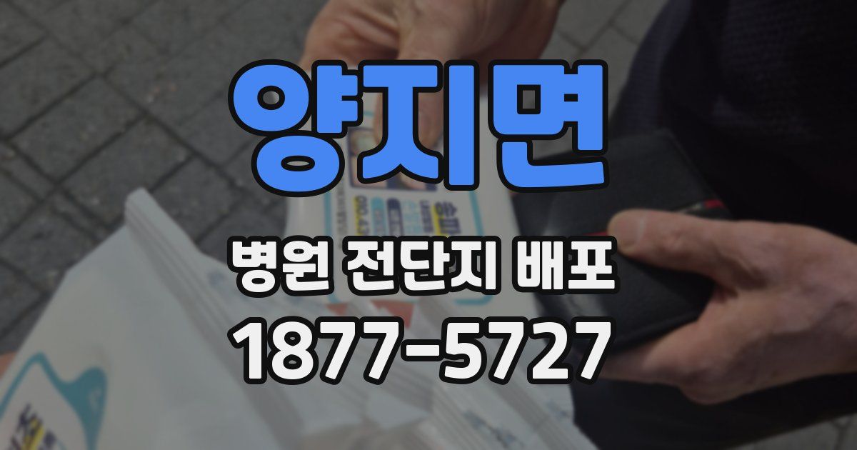 양지면 병원 전단지 배포