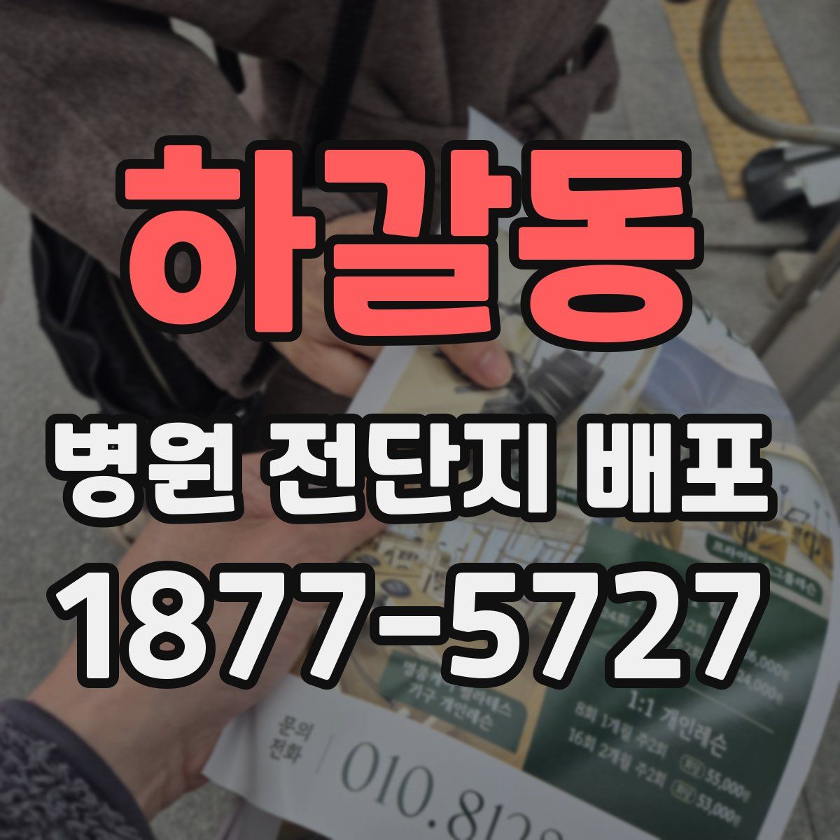 하갈동 병원 전단지 배포