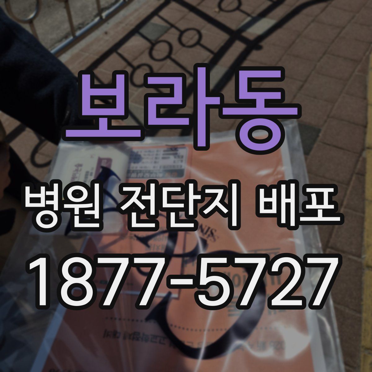 보라동 병원 전단지 배포