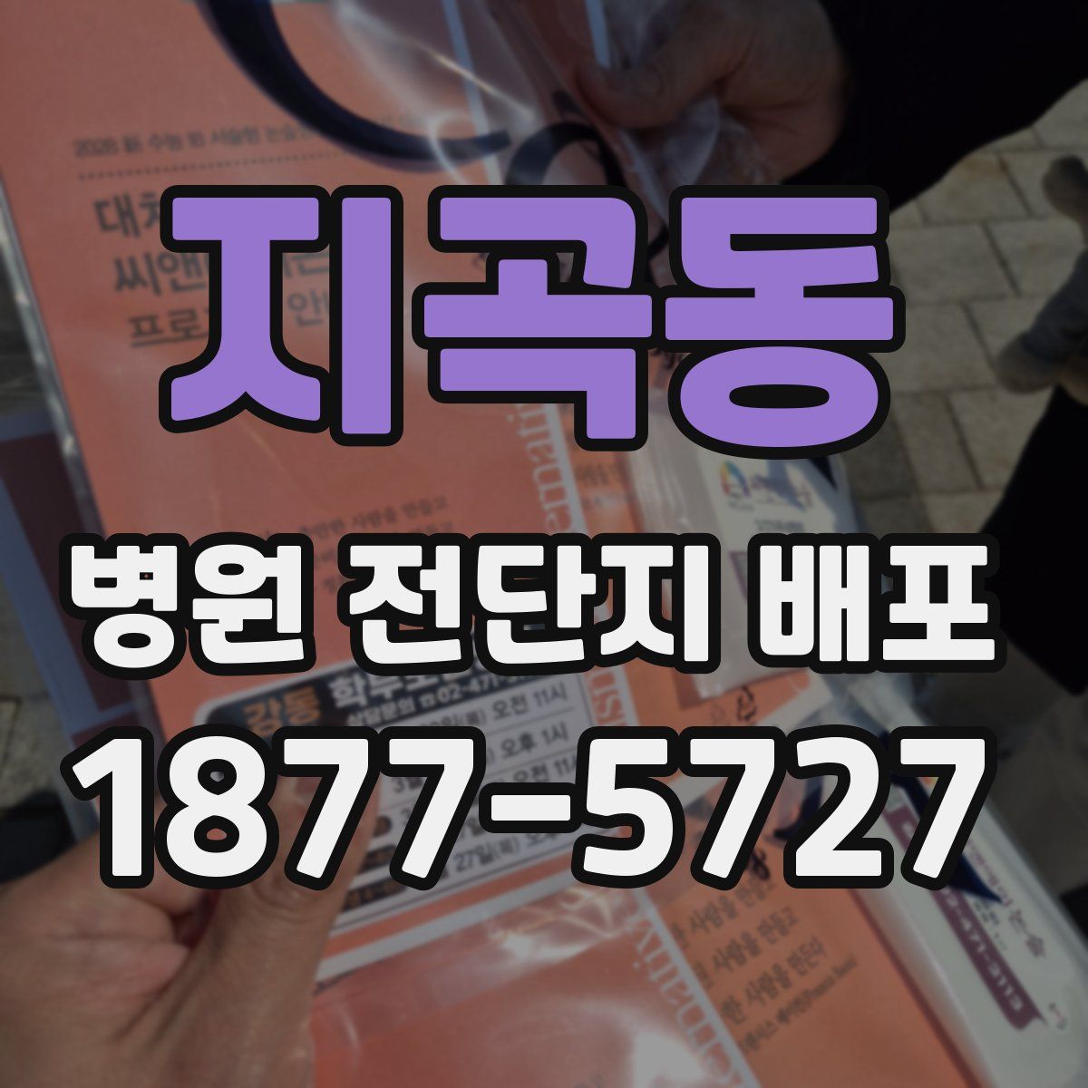 지곡동 병원 전단지 배포